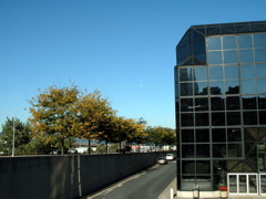 DSCF0054